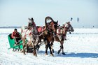 Новогодний фотоконкурс от IRK.ru «В год Огненной Лошади — на коне»