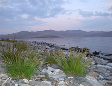 18 июня 2011 года. Заплесковая зона острова Огой в Малом море. Объект религиозного поклонения буддистов. Чисто, мусор практически отсутствует.