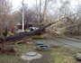 Упавшее дерево на улице Донская. Фото Ольги Ивановой