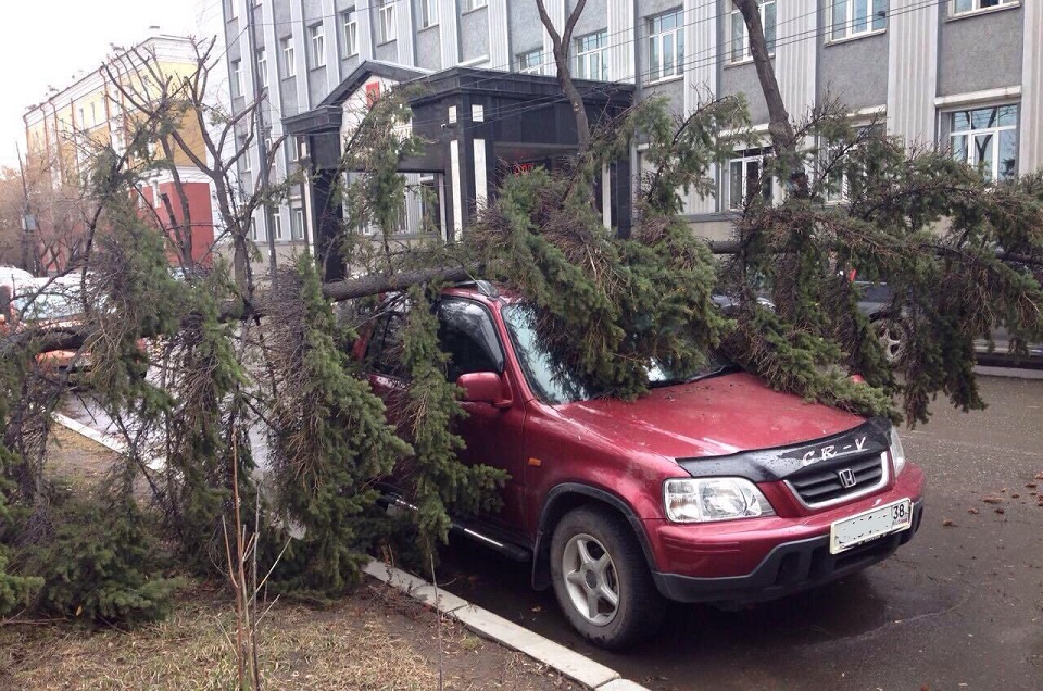 Бульвар Гагарина. Фото аварийно-спасательной службы Иркутска