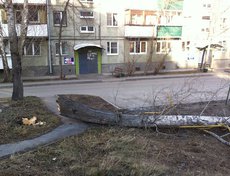 Улица Лермонтова, 269. Фото Анастасии.