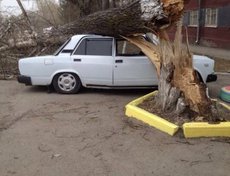 Фото от «Иркутского партнера»