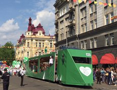 Фото прислала Анюта