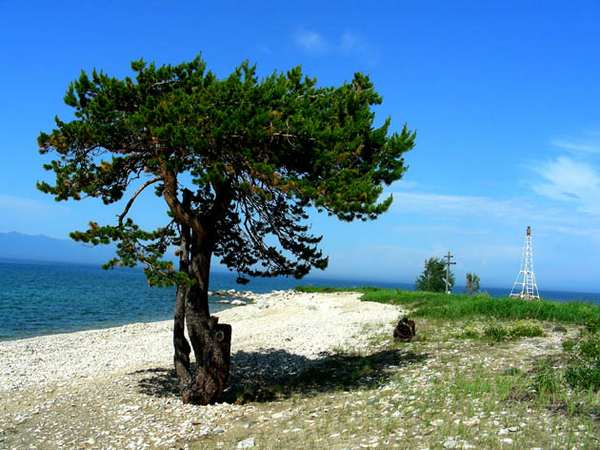 В районе мыса. Фото с сайта www.nature.baikal.ru. Автор — Александр Мамонтов