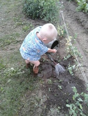 Наш помощник