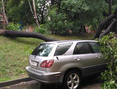 На улице Касьянова. Фото предоставлено очевидцем