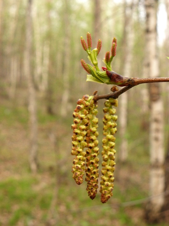 Фото Юрия Орлова