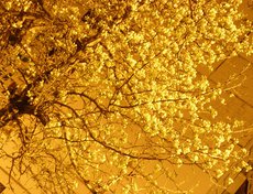 Фото Юрия Орлова