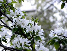 Фото Юрия Орлова