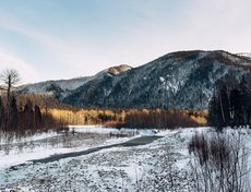 Река Снежная