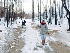 Дорога на озеро Теплое (оно же Мертвое)