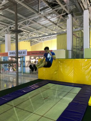 Полёт шмеля