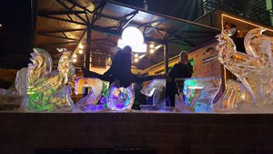 Мои зимние каникулы