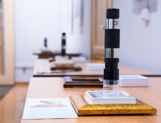 Работы Анатолия Коненко настолько малы, что разглядеть их можно лишь под микроскопом или с помощью лупы.