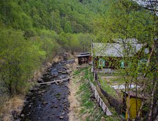 Река Большая Шумиха.