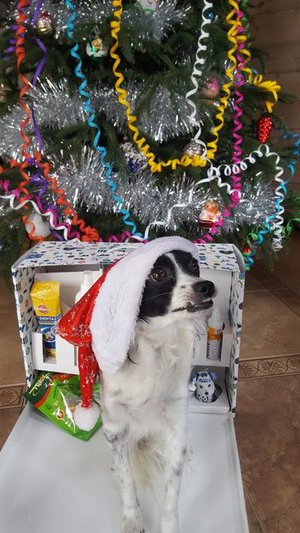 Открываем новогодние подарки. Все мое