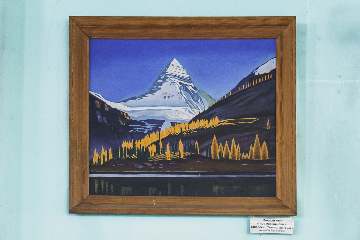 Сейчас комнатных цветов значительно меньше, но на стенах повесили картины.
