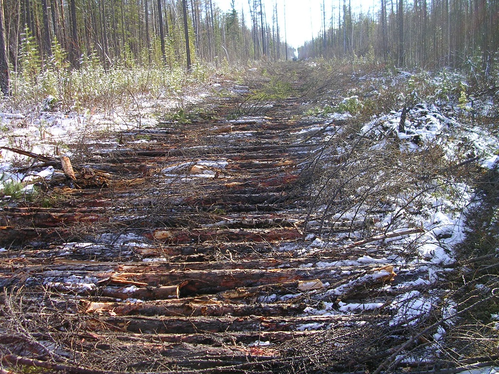 Первые дороги – «лежнёвки».