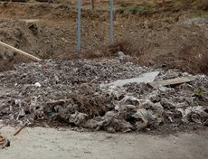 В микрорайоне регулярно происходит утечка сточных вод.