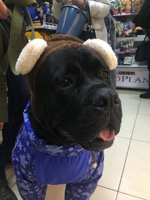 Сеня празднику всегда рад