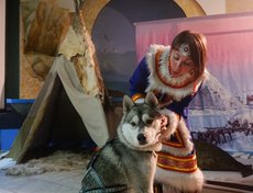 Интерактивное представление.