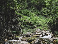 На второй день мы отправились на водопад Сказка.
