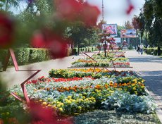 Аллея вдоль улицы Ленина