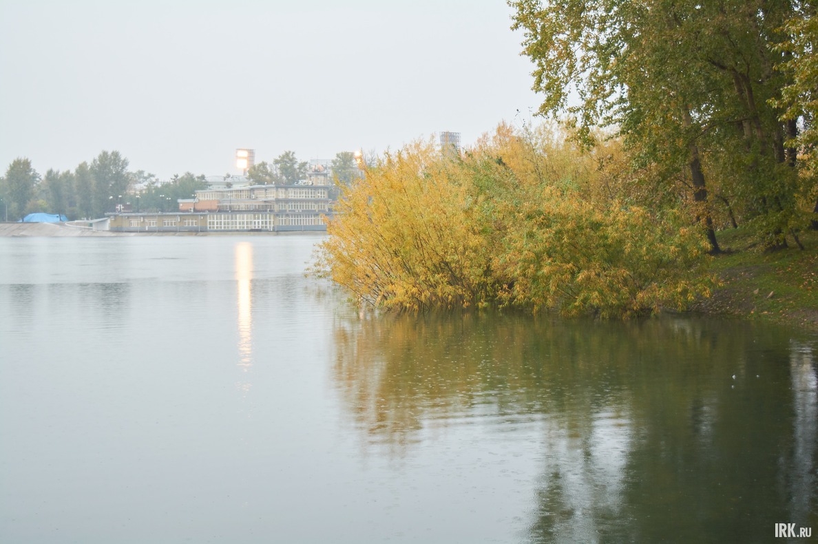 Повышение уровня воды можно заметить по деревьям и кустарникам.