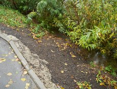 Вода подступила к пешеходным дорожкам.