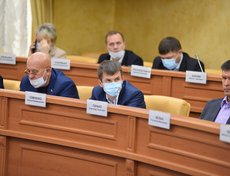 Депутаты Евгений Савченко, Александр Панько