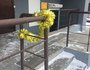 — А вот как украшен наш двор, ничего лишнего, — пишет Анастасия М. — Это мы в обед пошли с дочей сфотать елку, но не нашли ее в нашем дворе. В прошлом году украшали дерево, в этом году ничего нет. Это на Ямской.