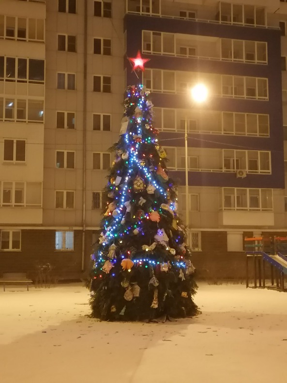 Высокая ёлка со звездой около дома на Поленова, 27-21. Фото Натальи Т.