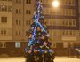 Высокая ёлка со звездой около дома на Поленова, 27-21. Фото Натальи Т.