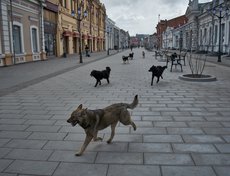 30 марта 2020 года в Иркутске закрылись торговые комплексы, развлекательные центры, кинотеатры, бары, рестораны, столовые. Период с 30 марта по 5 апреля был объявлен нерабочей неделей с сохранением заработной платы.