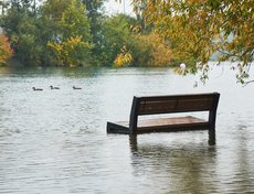 Позже ситуацию усугубили затяжные дожди.