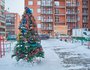 Вот такую красавицу нарядили во дворе домов №№ 12/2, 12/3 и 12/5 по Юрия Тена.