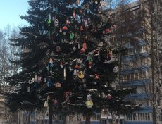 Во дворе дома № 247 в микрорайоне Байкальский украсили самодельными игрушками живое дерево. Кажется, здесь не обошлось без автовышки. Фото предоставлено Верой М.
