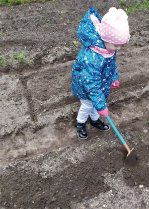 Дача пора сажать мясо.🥩