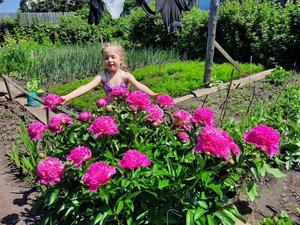 Сама вырастила