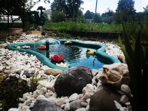 Релакс прудик