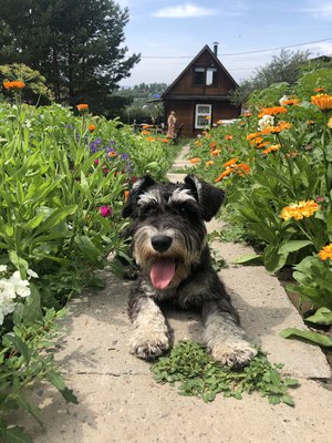 Таити, Таити. Не были мы ни в какой Таити. Нас и здесь неплохо кормят.