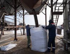 Рапса хватит всем желающим