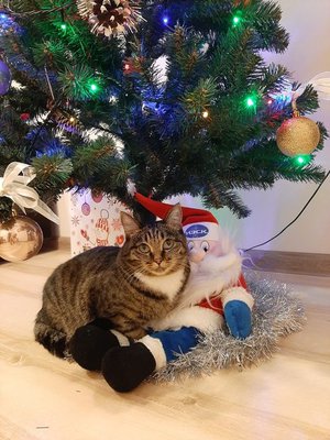 Катя (Гадя) и Дед Мороз