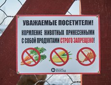 Приносить ёлки можно в рабочее время Иркутского зоосада — ежедневно с 11:00 до 18:00.