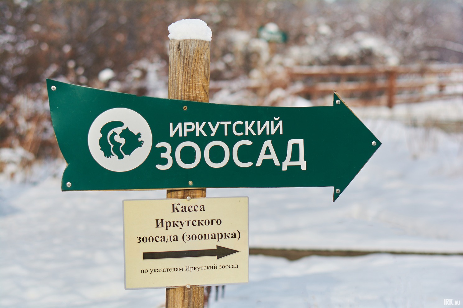 Иркутский зоосад принимает хвойные деревья на подстилку и подкорм животным.