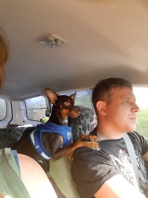 Жора путешественик