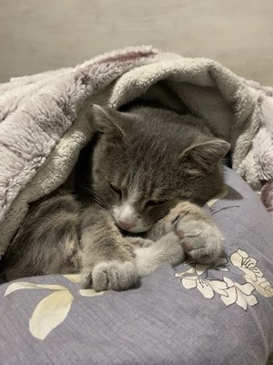 На улице холода - не хочется никуда.