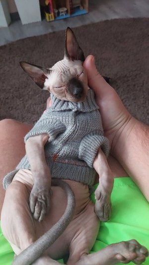 ЖИЗНЬ ХОРОША)