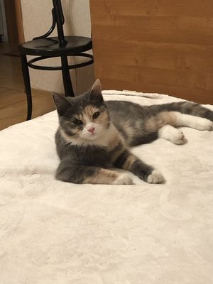 Моя Софочка