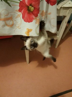 У каждого своя милашка.